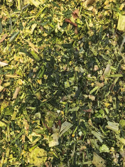 Med väderhändelser med hög luftfuktighet som ofta förekommer över hela världen, hur kan man producera färsk majsensilage av hög kvalitet för förhållanden med hög luftfuktighet med hjälp av vetenskapliga processer?