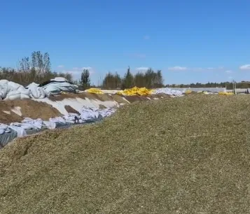 Hur man bygger en hållbar ensilagegrop för lagring av foder på stora djurgårdar?