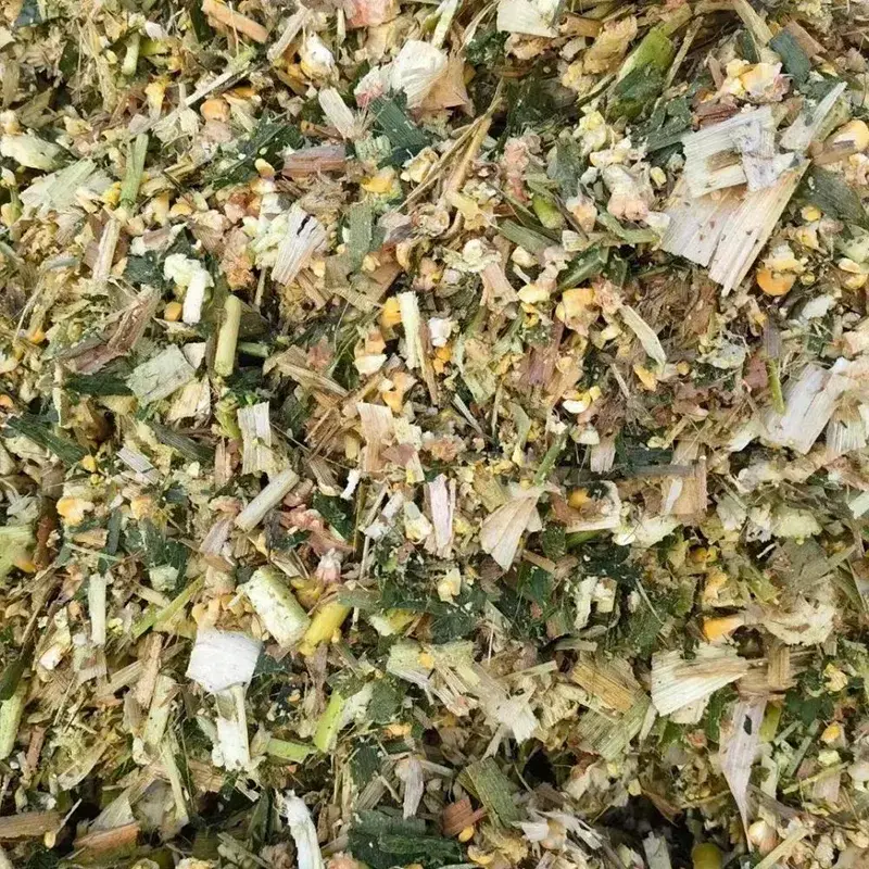 Amning Mjölkko Majsensilage
