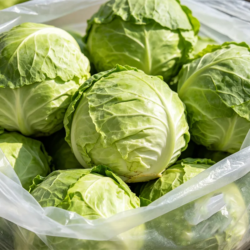 Nätpåse packad rundkål