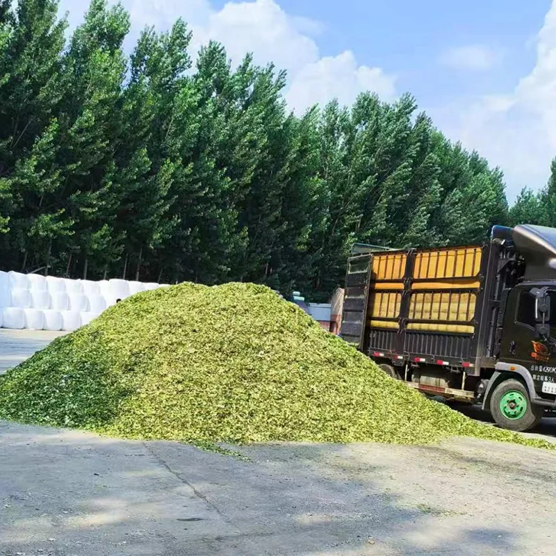 Får och get Special majsensilage