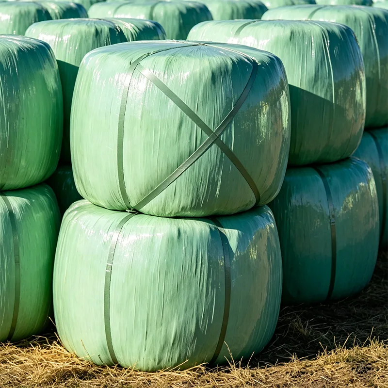UV-skyddad balad majsensilage